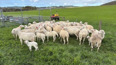 EWEs 3